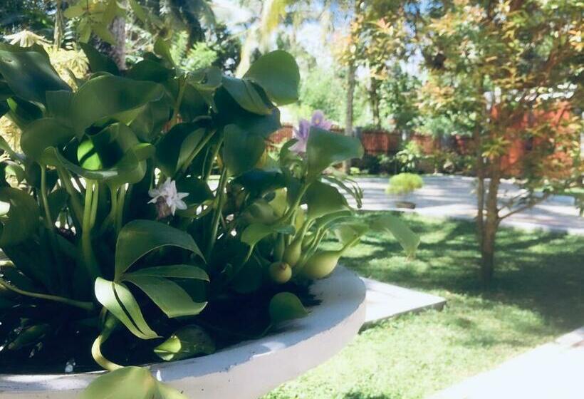 ペンション Casa Blanca