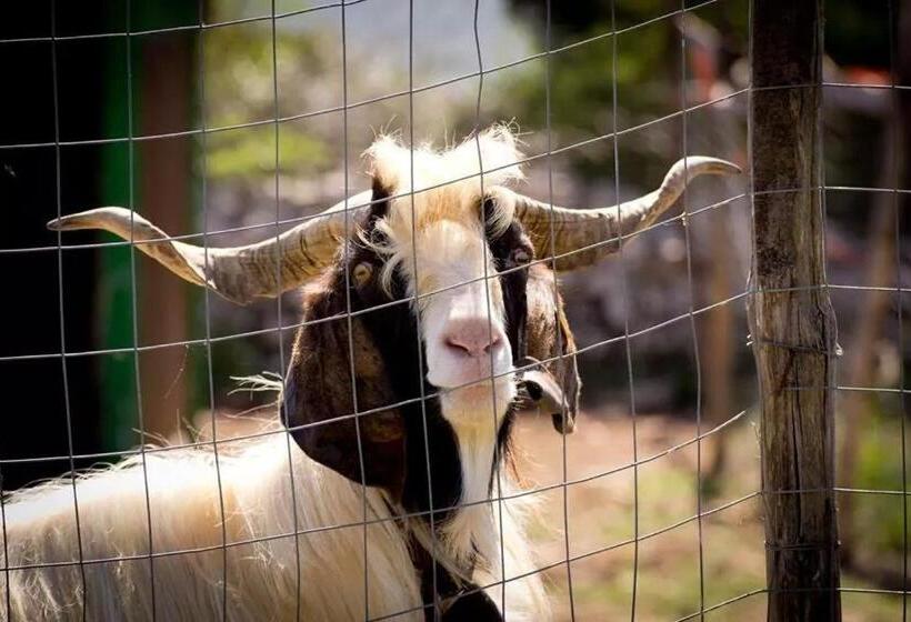 בית מלון כפרי Agriturismo Agrimilo