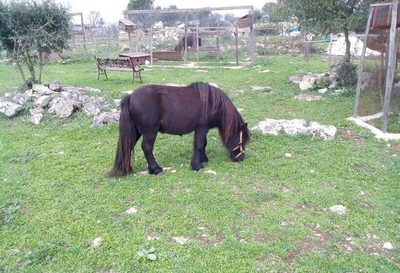 בית מלון כפרי Agriturismo Agrimilo