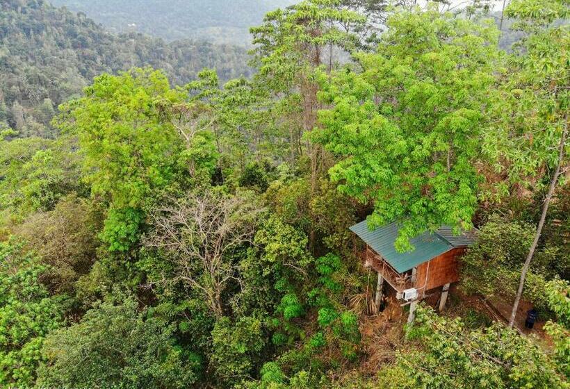فندق Tree Houses By Jungle River