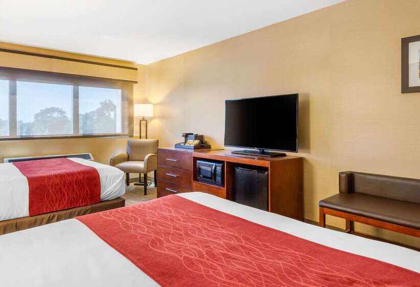 בית מלון כפרי Comfort Inn & Suites Logan International Airport