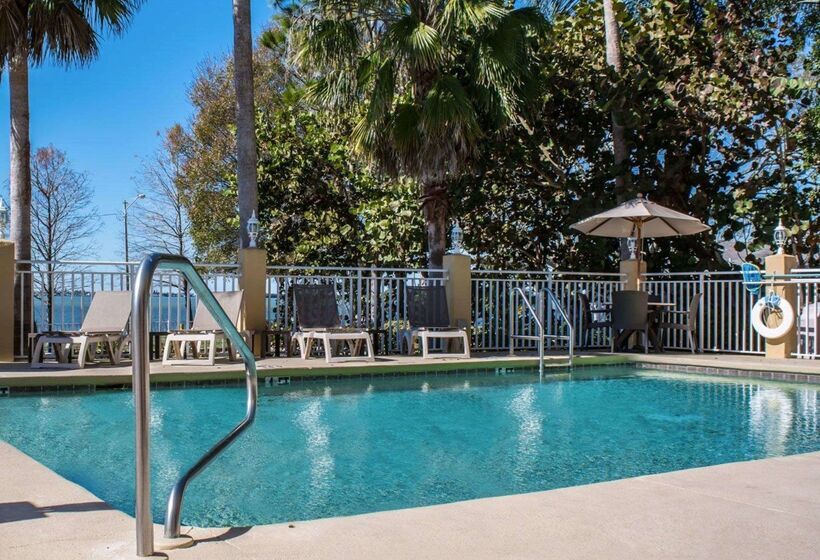 בית מלון כפרי Comfort Suites Clearwater  Dunedin