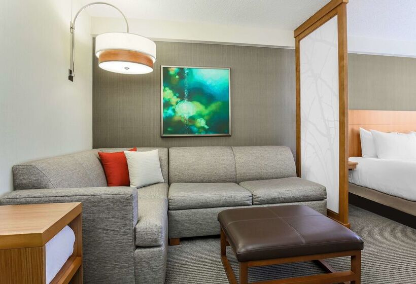 فندق Hyatt Place San Jose, Downtown