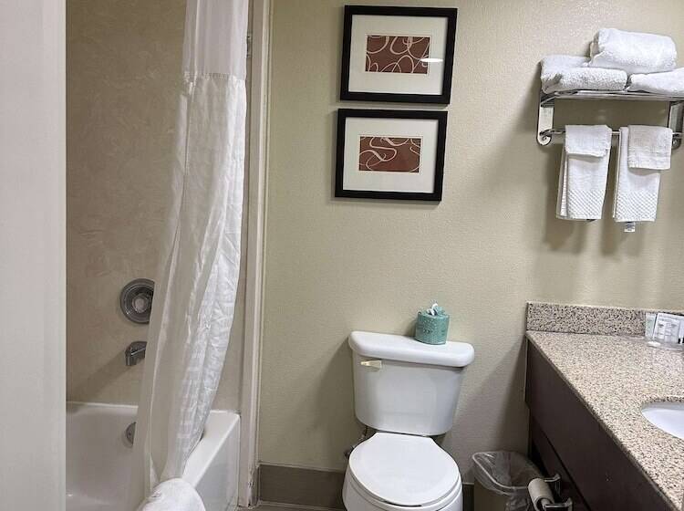 בית מלון כפרי Vista Suites Near Leconte Convention Center