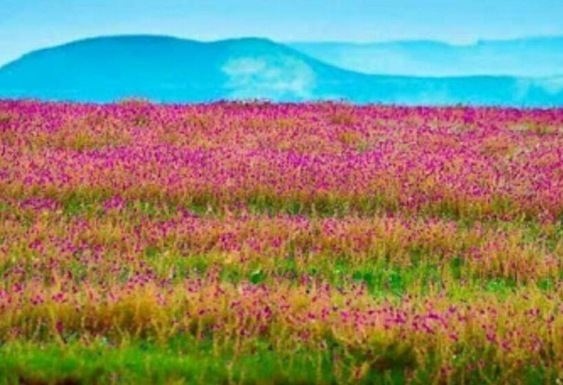 فندق Vamoose Laxmi Hill Resort