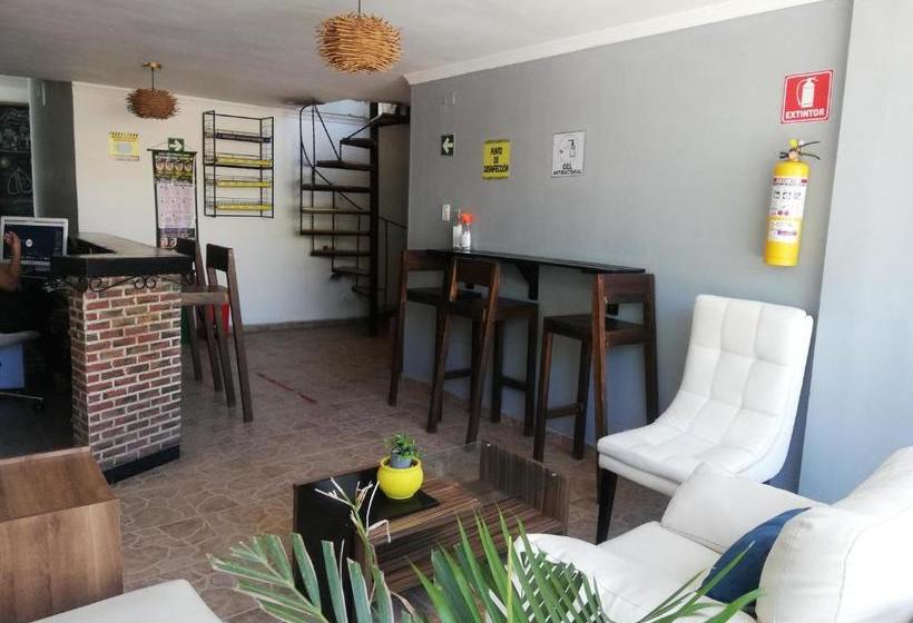 هتل Casa Noah Hostel