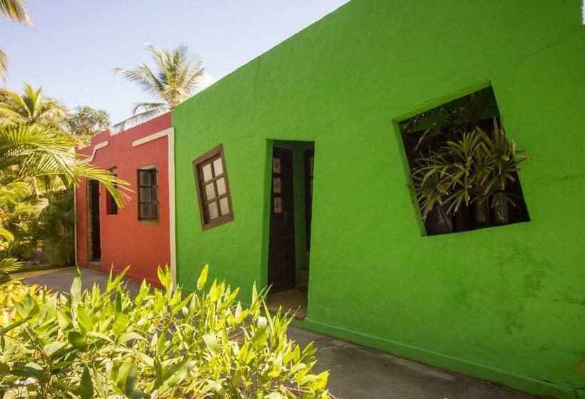 هاستل Pousada Casinhas Da Bahia