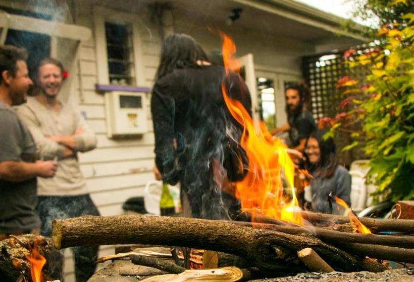 هاستل The Palace Backpackers