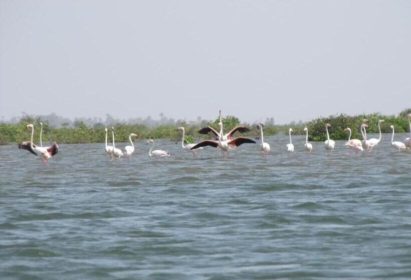 Hotel Bazouk Du Saloum Ecolodge