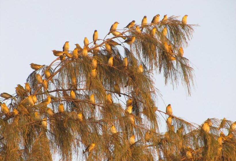 Hotel Bazouk Du Saloum Ecolodge