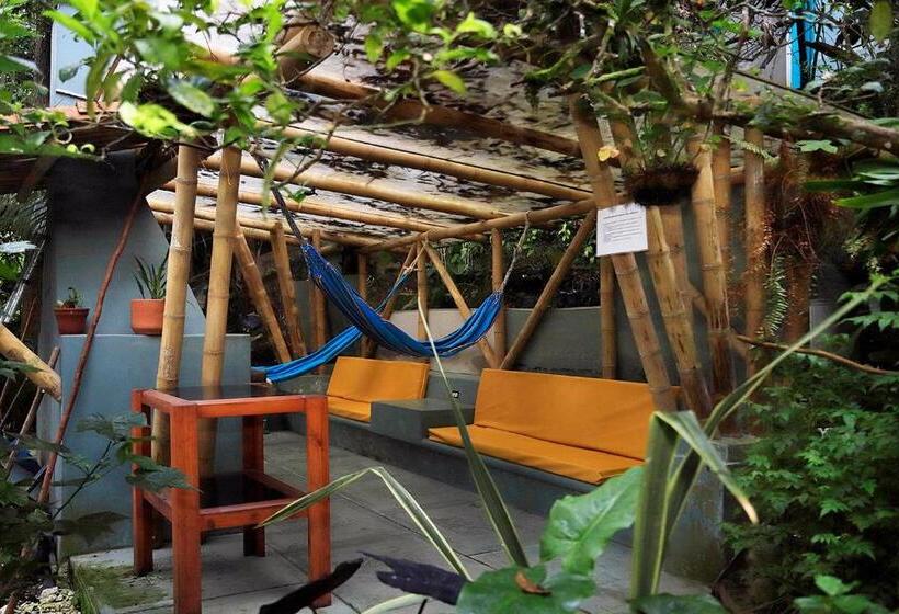 هتل Casa De Las Dos Palmas