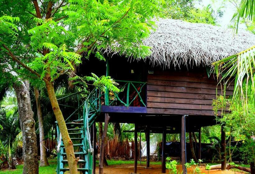 Отель Lakeside Cabana Tissamaharama
