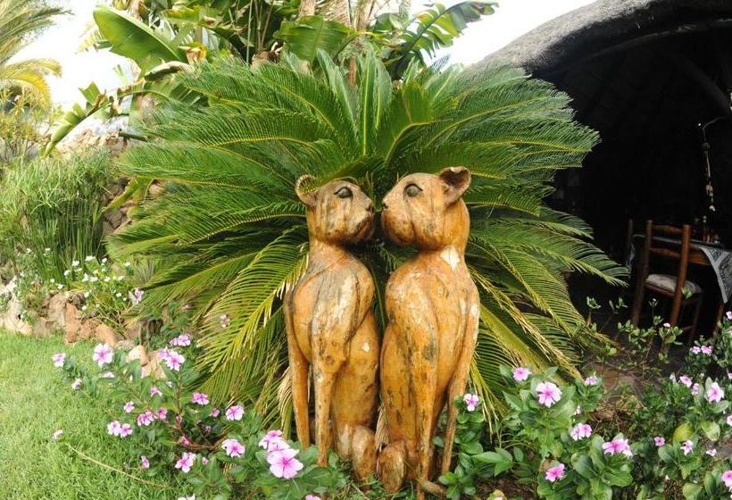 Pensiune African Kwela Guest House