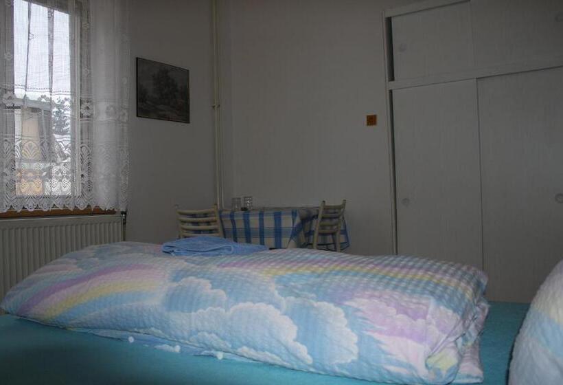 پانسیون Penzion U Antonickova Pramene