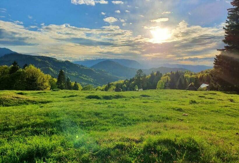 Pensiunea Drumetul