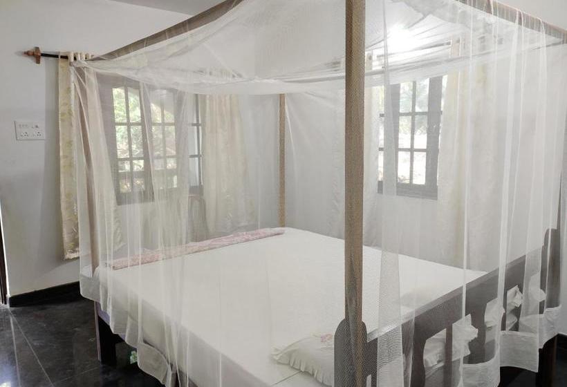 リゾートホテル Costantina   Agonda Beach