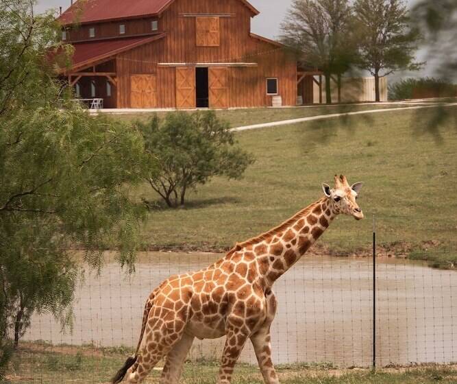 בית מלון כפרי Blue Hills Ranch