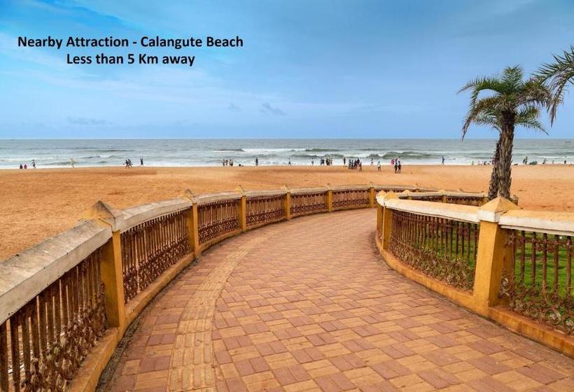 فندق Oyo 76729 Delma Merchant S Guest House