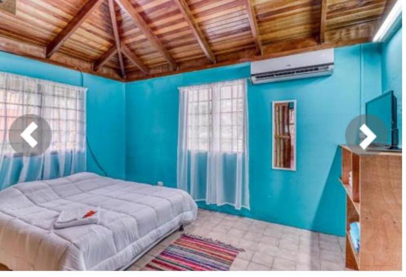 تختخواب و صبحانه Most Animal Friendly Place On Earth Casa Geraldo