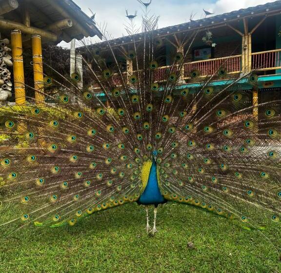 Finca Hotel El Diamante