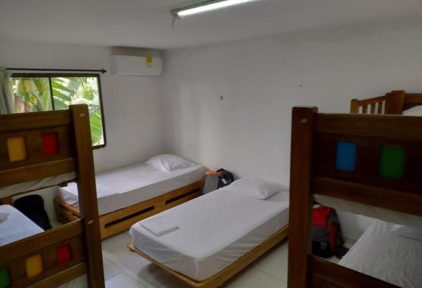 پانسیون Hostal Baruch