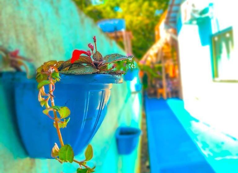 Pensjonat Pousadas Casa Do Ivo Alter Do Chão