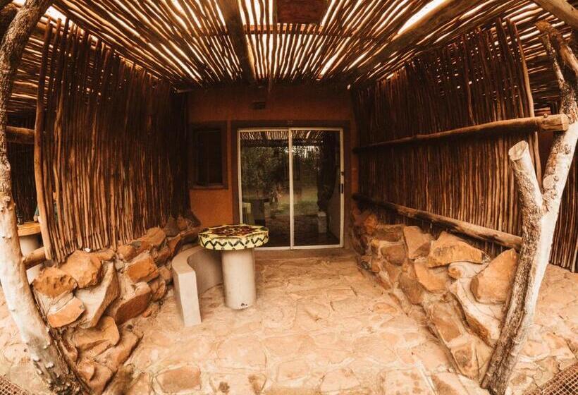 فندق صغير Amphitheatre Backpackers Lodge