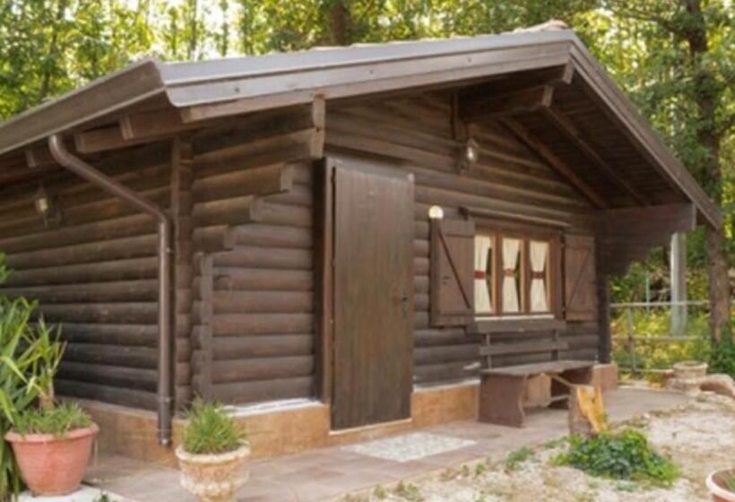 تختخواب و صبحانه Il Castagneto