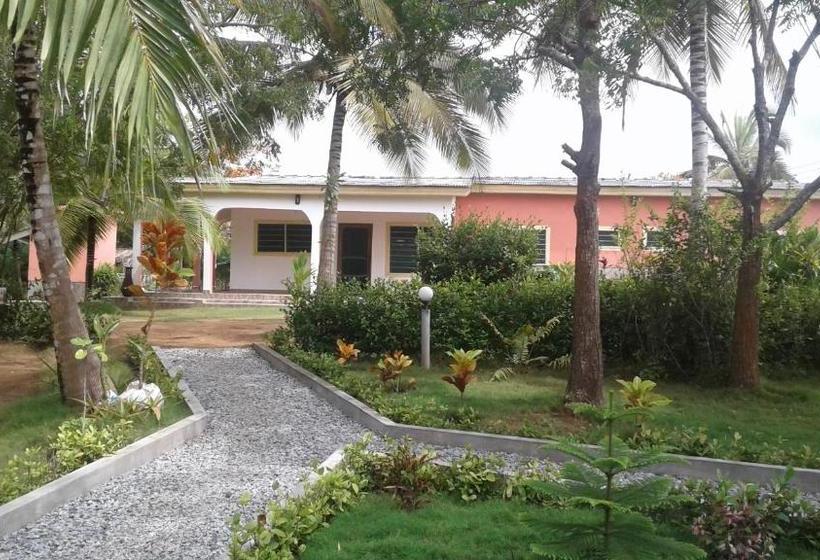 مبيت وإفطار Twitter Paradise