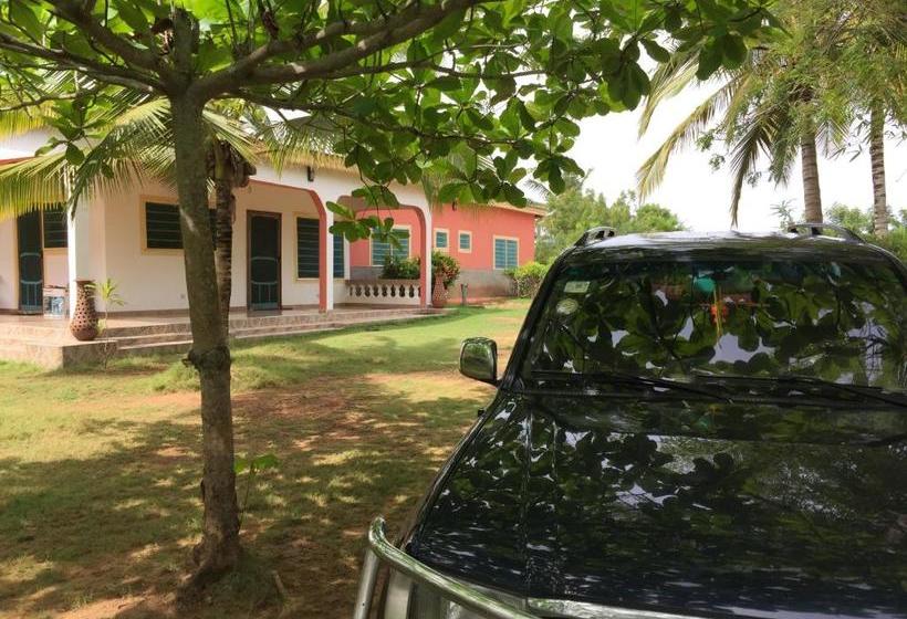 مبيت وإفطار Twitter Paradise