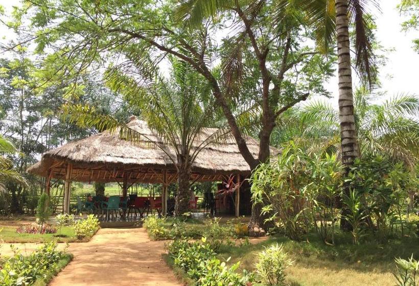 مبيت وإفطار Twitter Paradise