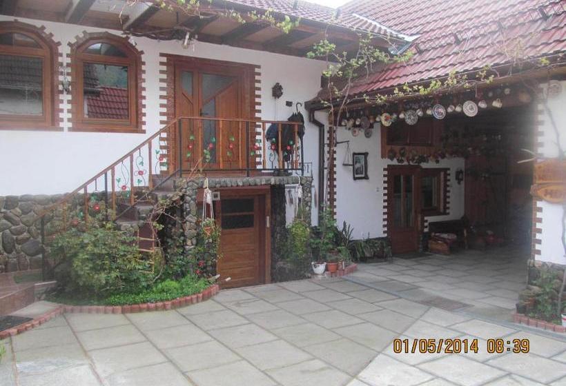 펜션 Casa De Vacanta Vidrighin