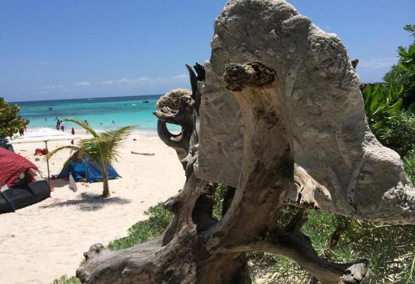 بنسيون El Secreto Ocean Front Cabin