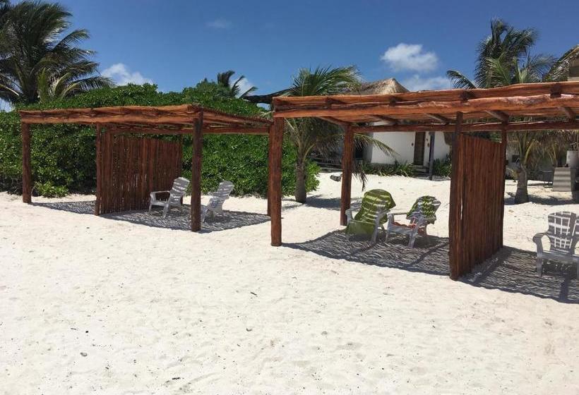 بنسيون El Secreto Ocean Front Cabin