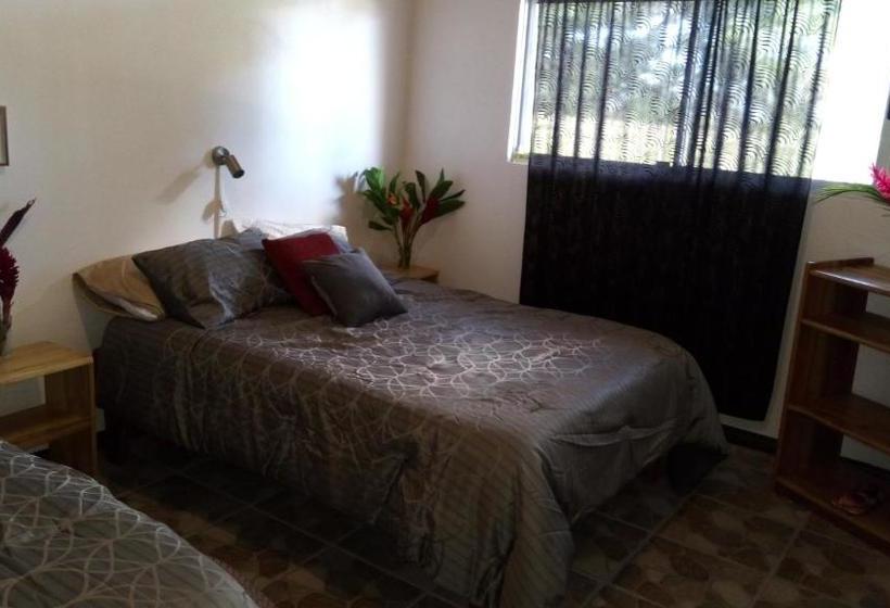 بنسيون Top Of The Mountain, New Hotel Bnb In The Clouds