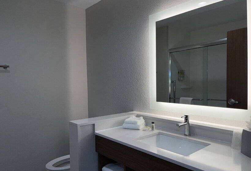 هتل Holiday Inn Express & Suites Dallas Central Market Center By Ihg