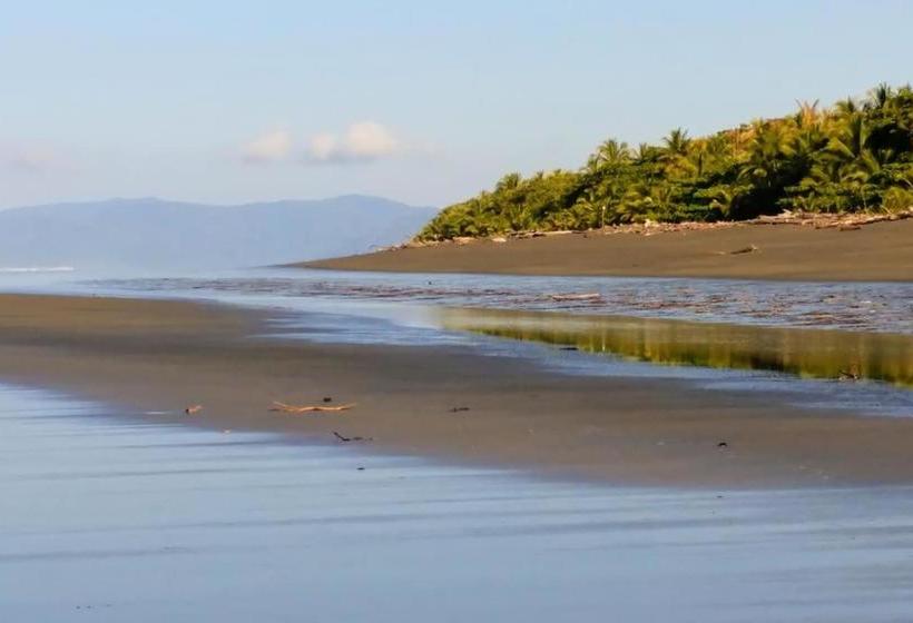 بنسيون Cabinas Los Cocos