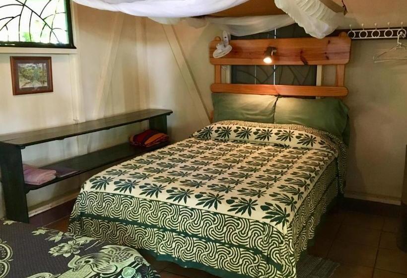 بنسيون Cabinas Los Cocos