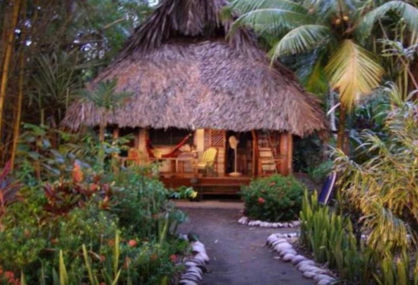 بنسيون Cabinas Los Cocos