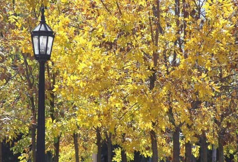 فندق Colonial San Nicolas