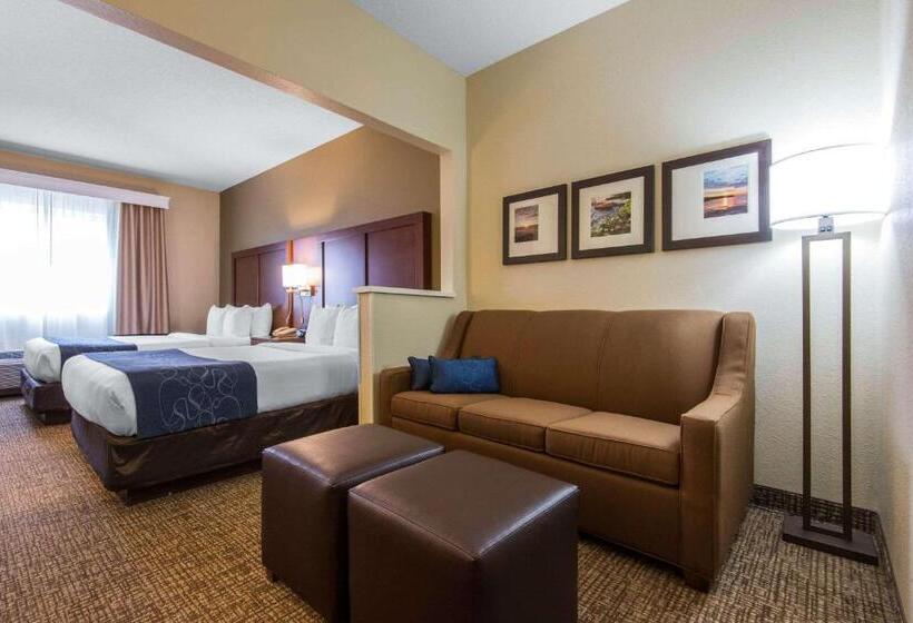 هتل Comfort Suites Rochester Henrietta University Area