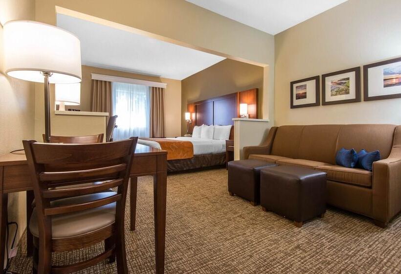 هتل Comfort Suites Rochester Henrietta University Area