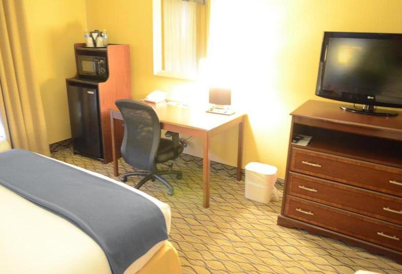 Holiday Inn Express Hotel & Suites Houston Downtown Convention Center, An Ihg