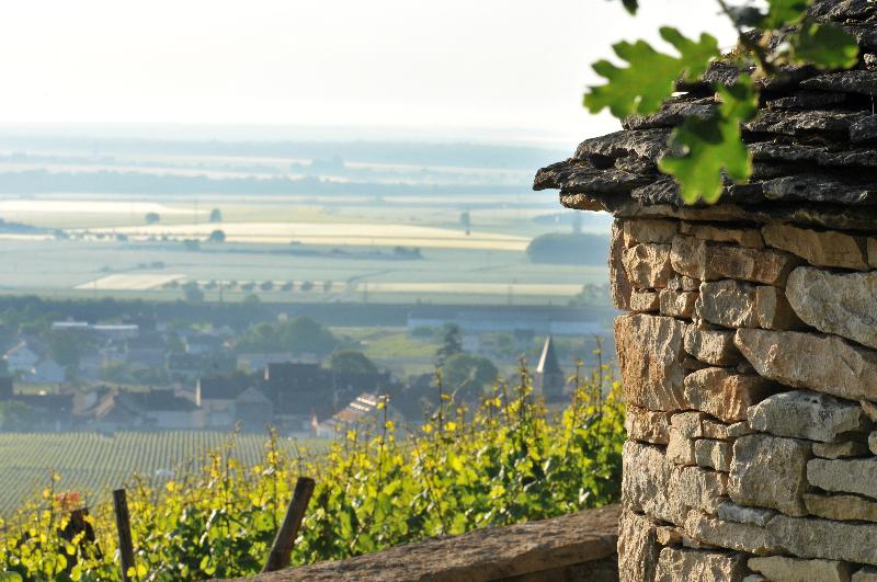 ホテル Le Richebourg Hôtel, Restaurant & Spa