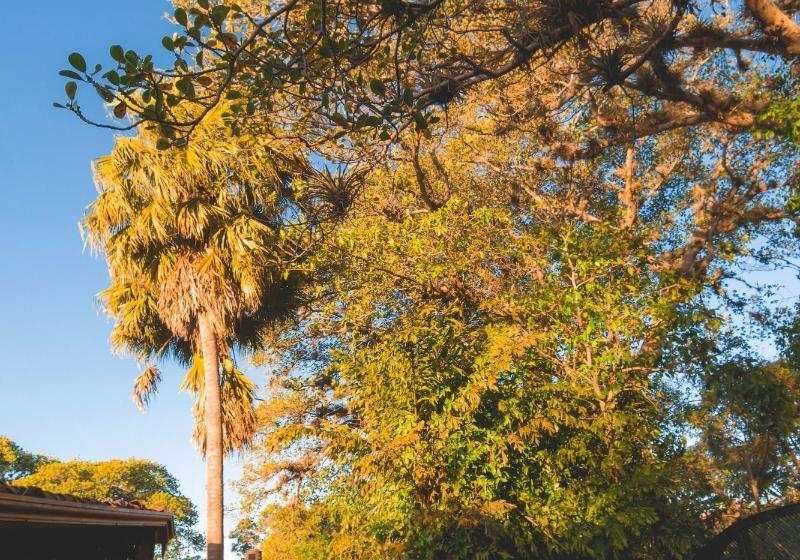 فندق Finca Rosa Blanca Coffee Farm And Inn