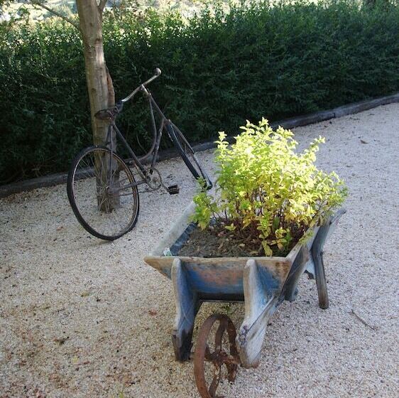 هتل The Birches Bed & Breakfast