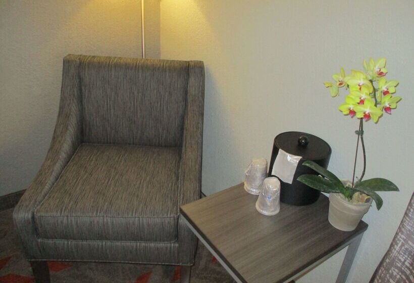 هتل Best Western Plus North Joliet