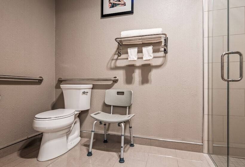 هتل Best Western Plus North Joliet