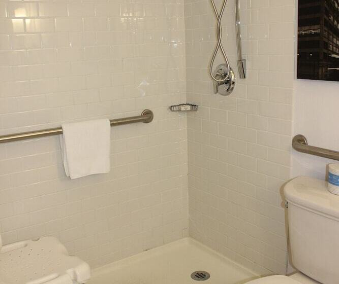 فندق Crowne Plaza   Chicago West Loop, An Ihg