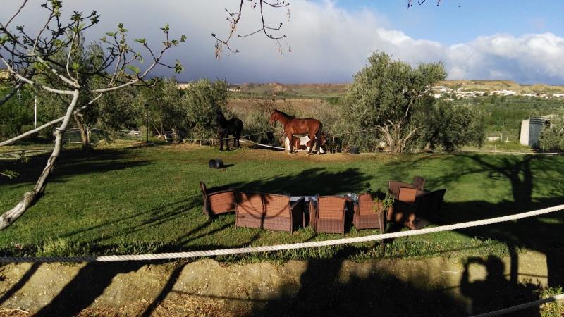 هتل روستایی Cuevas Abuelo Ventura